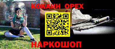 кокс Гатчина