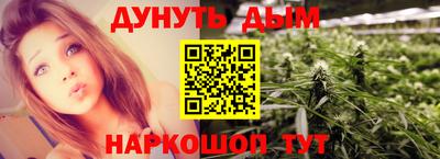 кокс Гатчина