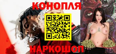 кокс Гатчина
