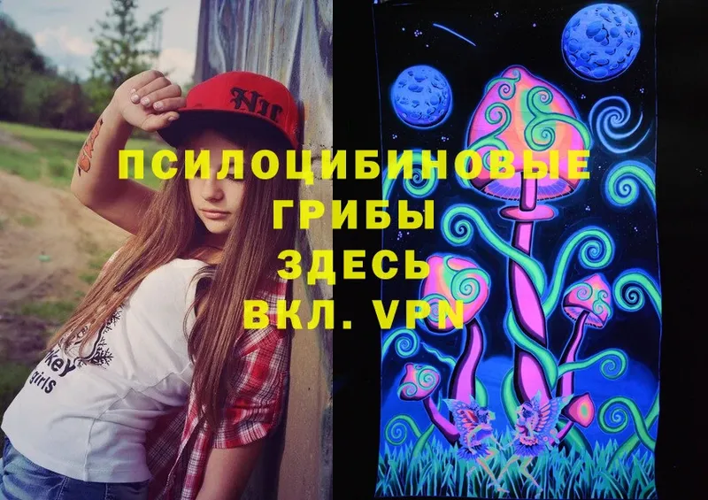 Псилоцибиновые грибы Psilocybe  Кудымкар 