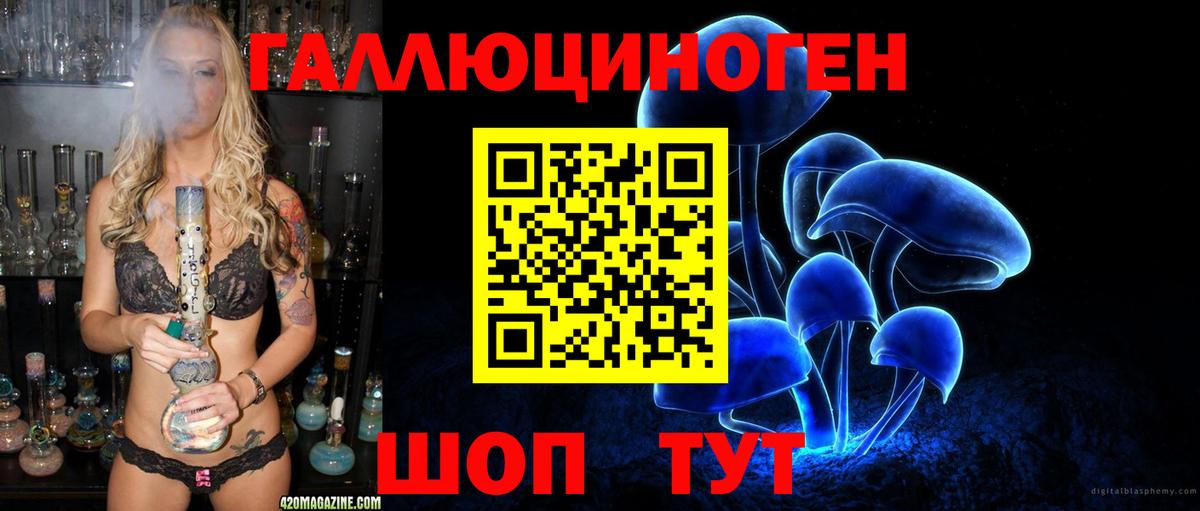 Галлюциногенные грибы Psilocybe  Вход с VPN  Кудымкар  Галлюциногенные грибы мухоморы 